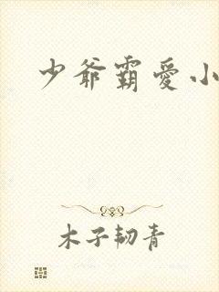 少爷霸爱小丫头封面