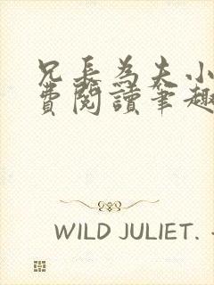 兄长为夫小说免费阅读笔趣阁无弹窗