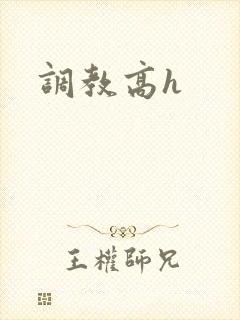 调教高h