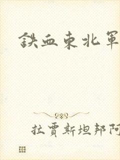铁血东北军