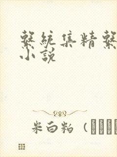 系统集精系统 小说