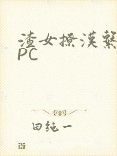 渣女撩汉系统NPC封面