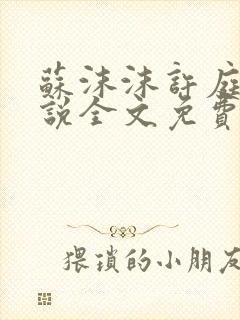 苏沫沫许庭川小说全文免费阅读