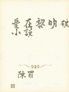爱在黎明破晓前小说