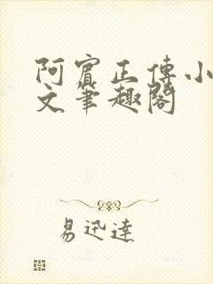 阿宾正传小说全文笔趣阁