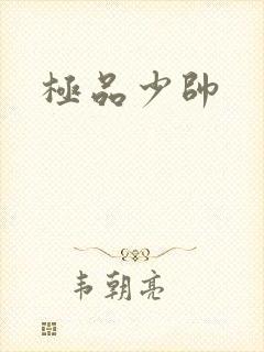 极品少帅封面