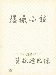 爆操小说
