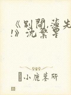 《别闹,薄先生!》沈繁星