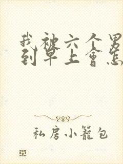 我被六个男人躁到早上会怎么样封面