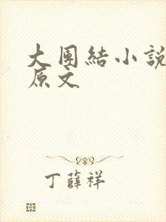 大团结小说阅读原文