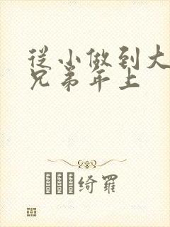 从小做到大骨科兄弟年上
