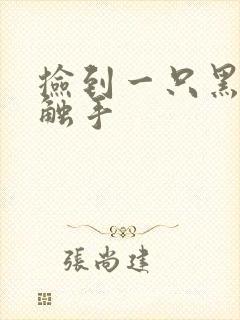 捡到一只黑心小触手