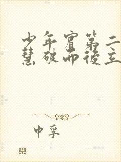 少年宾第二部珏慧破而后立封面