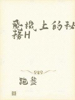 飞机上的秘密服务H