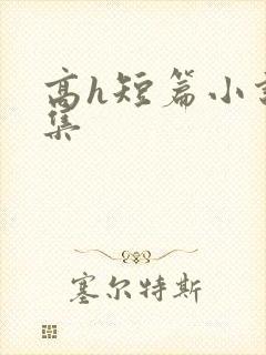 高h短篇小说合集