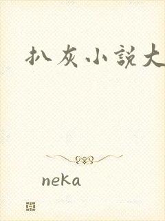 扒灰小说大全封面