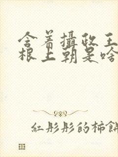 含着摄政王的紫根上朝是啥小说