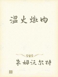 温火炖肉