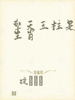 擎天玉柱是什么生肖