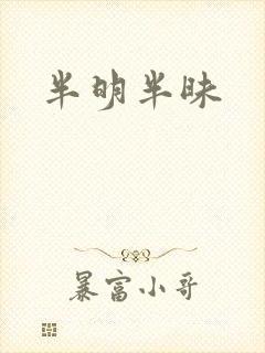 半明半昧
