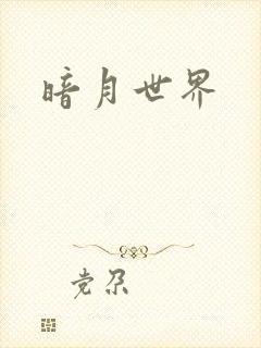 暗月世界
