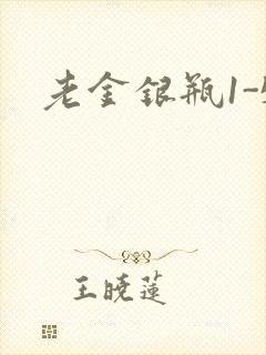老金银瓶1-5