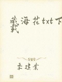藏海花txt下载