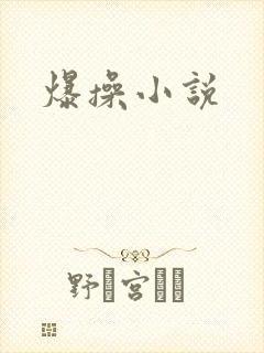 爆操小说封面