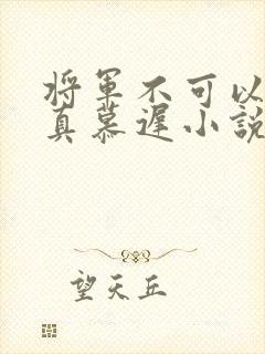 将军不可以魏云真慕迟小说笔趣阁