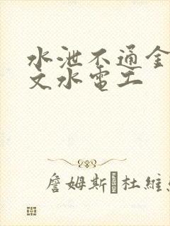 水泄不通金银原文水电工