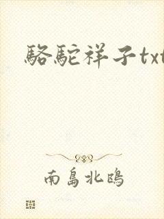 骆驼祥子txt封面