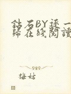 钻石BY逐一而归在线阅读