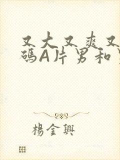 又大又爽又黄无码A片男和男