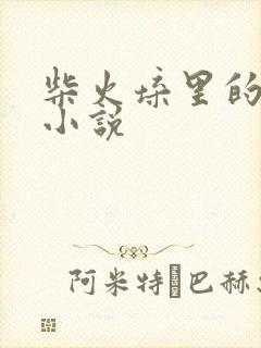 柴火垛里的疯狂小说