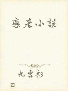 恋老小说