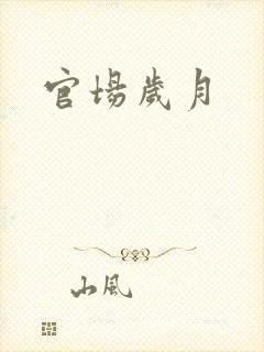 官场岁月封面