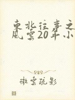 东北往事之黑道风云20年小说