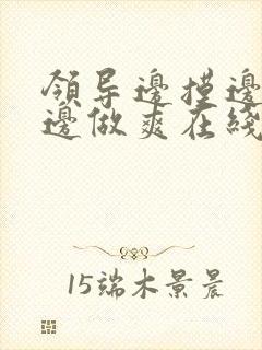 领导边摸边吃奶边做爽在线观看