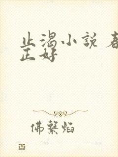 止渴小说 春光正好