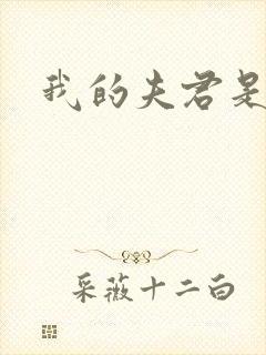 我的夫君是冥王封面