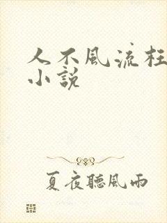 人不风流枉少年小说