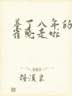 养了八年的金丝雀飞走啦