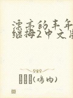 漂亮的丰年经的继拇2中文版