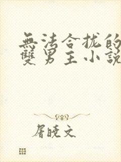 无法合拢的总裁双男主小说封面