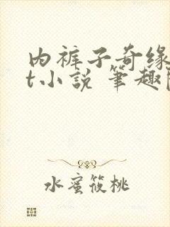 内裤子奇缘txt小说 笔趣阁