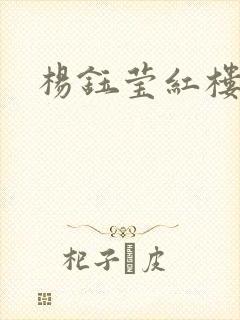 杨钰莹红楼