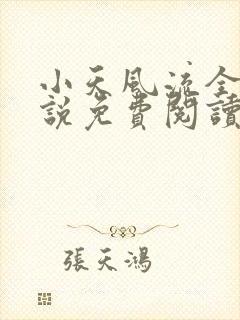 小天风流全集小说免费阅读封面