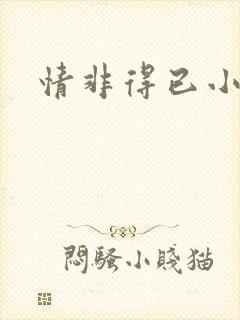 情非得已小说封面