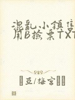 混乱小镇售票员用B检票TXT