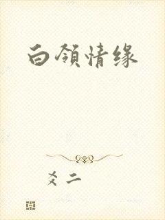 白领情缘
